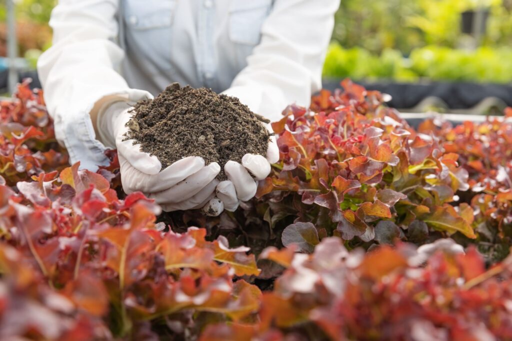 Importancia de la Asistencia Técnica Agrícola