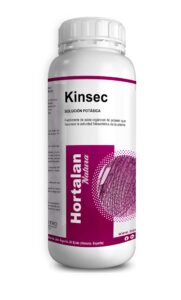 KINSEC-2022-1L-scaled