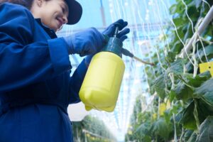 Cómo Echar Fertilizante Líquido a las Plantas