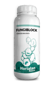 FUNGIBLOCK-MICROORGANISMOS