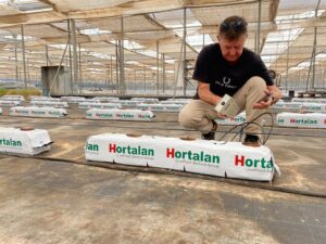 Medición EC sustrato fibra de coco