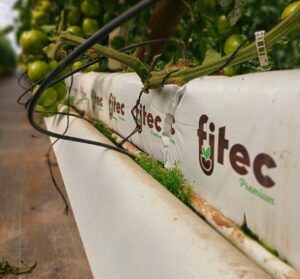 Medición EC sustrato fibra de coco hortalan