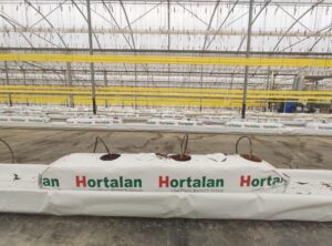 Medición EC sustrato fibra de coco y fitec