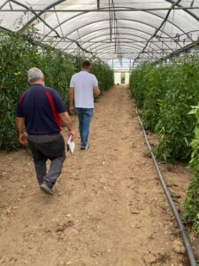 Control de oxigenación en soluciones hidropónicas