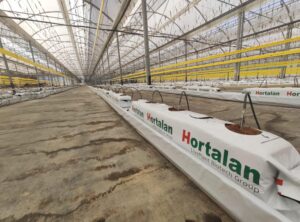 Control de oxigenación en soluciones hidropónicas principal