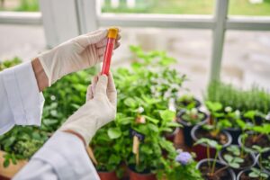 instrumentos de medición hidropónica