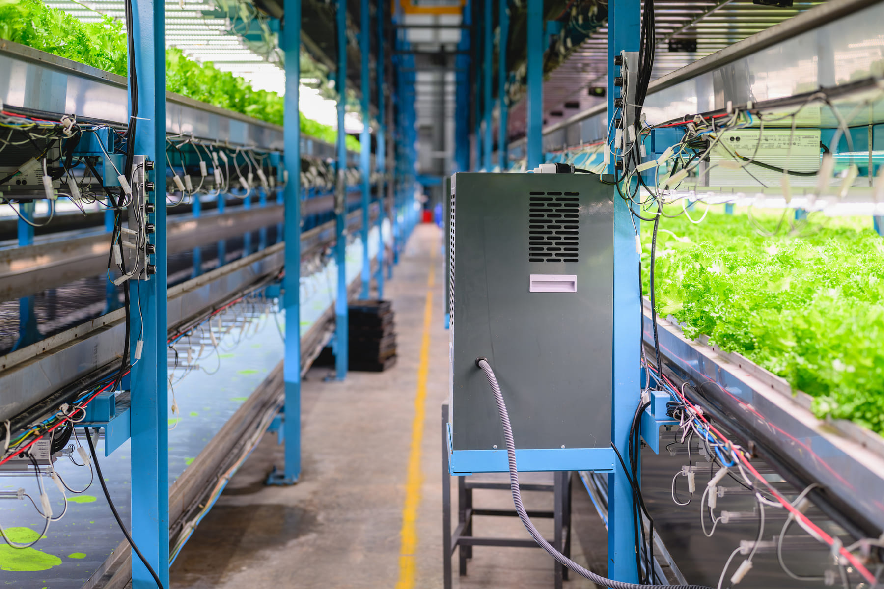 Protocolos de desinfección en sistemas hidropónicos