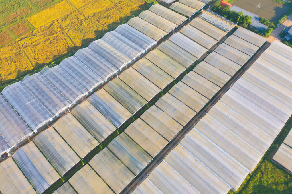 Importancia del Abono Ecológico para Cultivos en Invernaderos