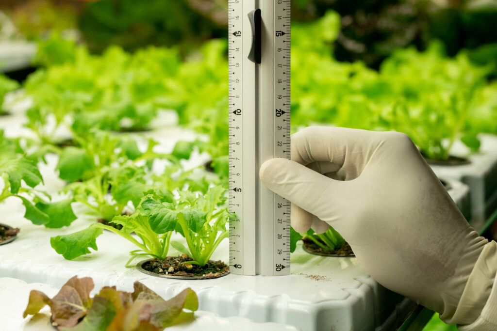 Cómo medir y corregir la EC del sustrato en hidroponía guía de campo