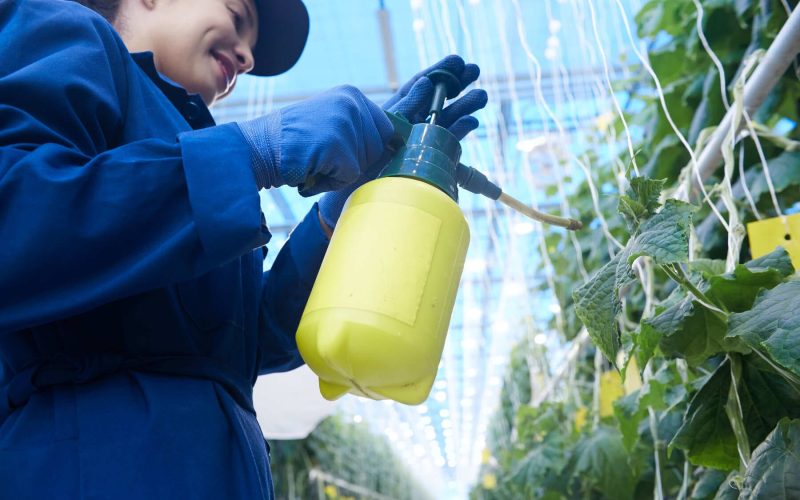 Cómo Echar Fertilizante Líquido a las Plantas