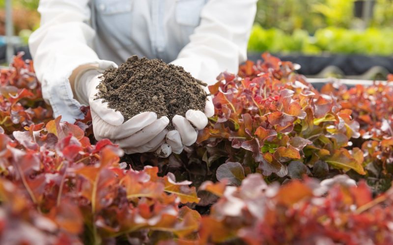 Importancia de la Asistencia Técnica Agrícola