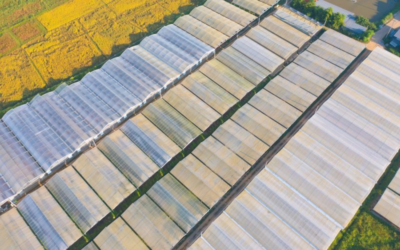 Importancia del Abono Ecológico para Cultivos en Invernaderos