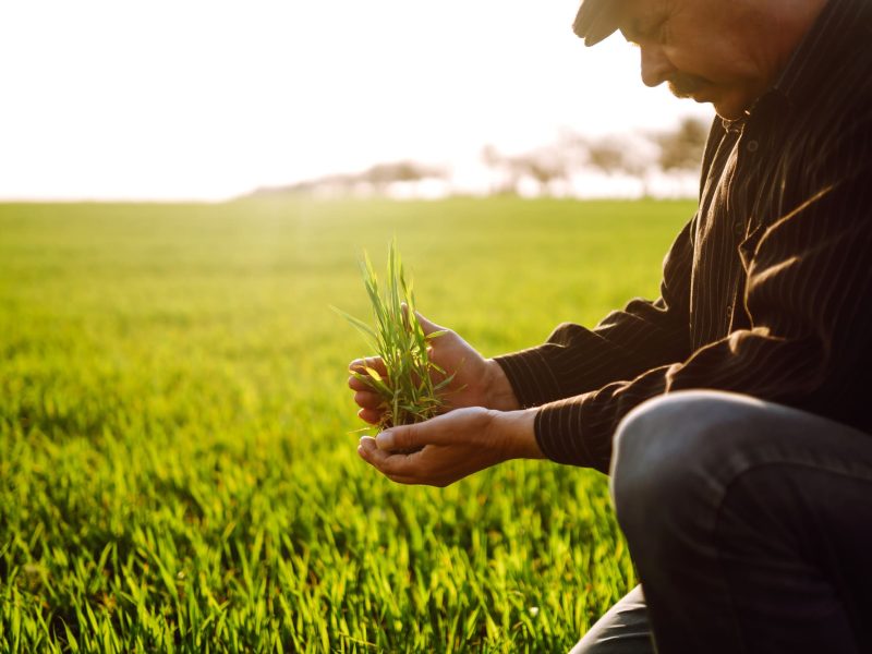 Productos-nutricionales-para-la-agricultura