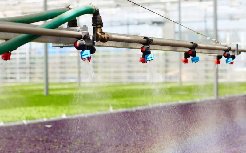 Programador de Riego en Invernaderos