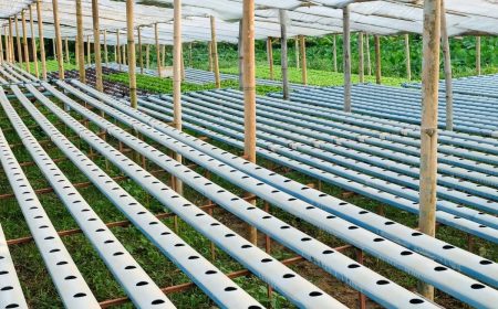 Requerimientos de infraestructura para hidroponía (1)